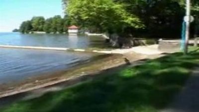 Жесткий секс на лавке в парке